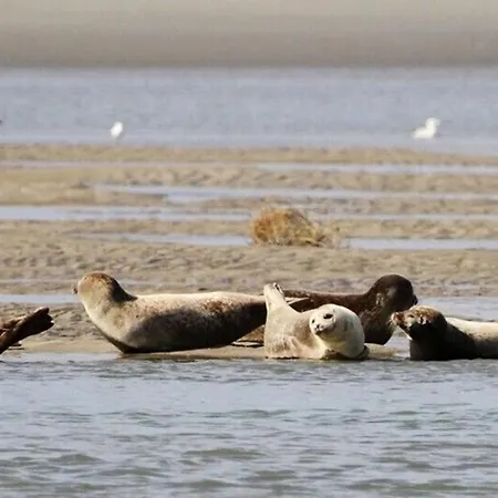 Emplacement - 300m De La - F